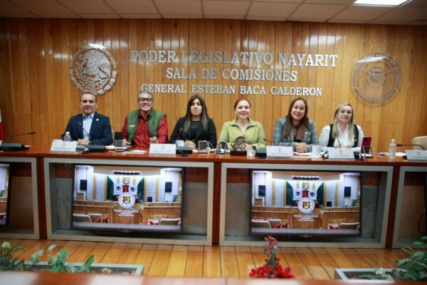Aprueban las y los diputados planes de trabajo de las Comisiones Legislativas