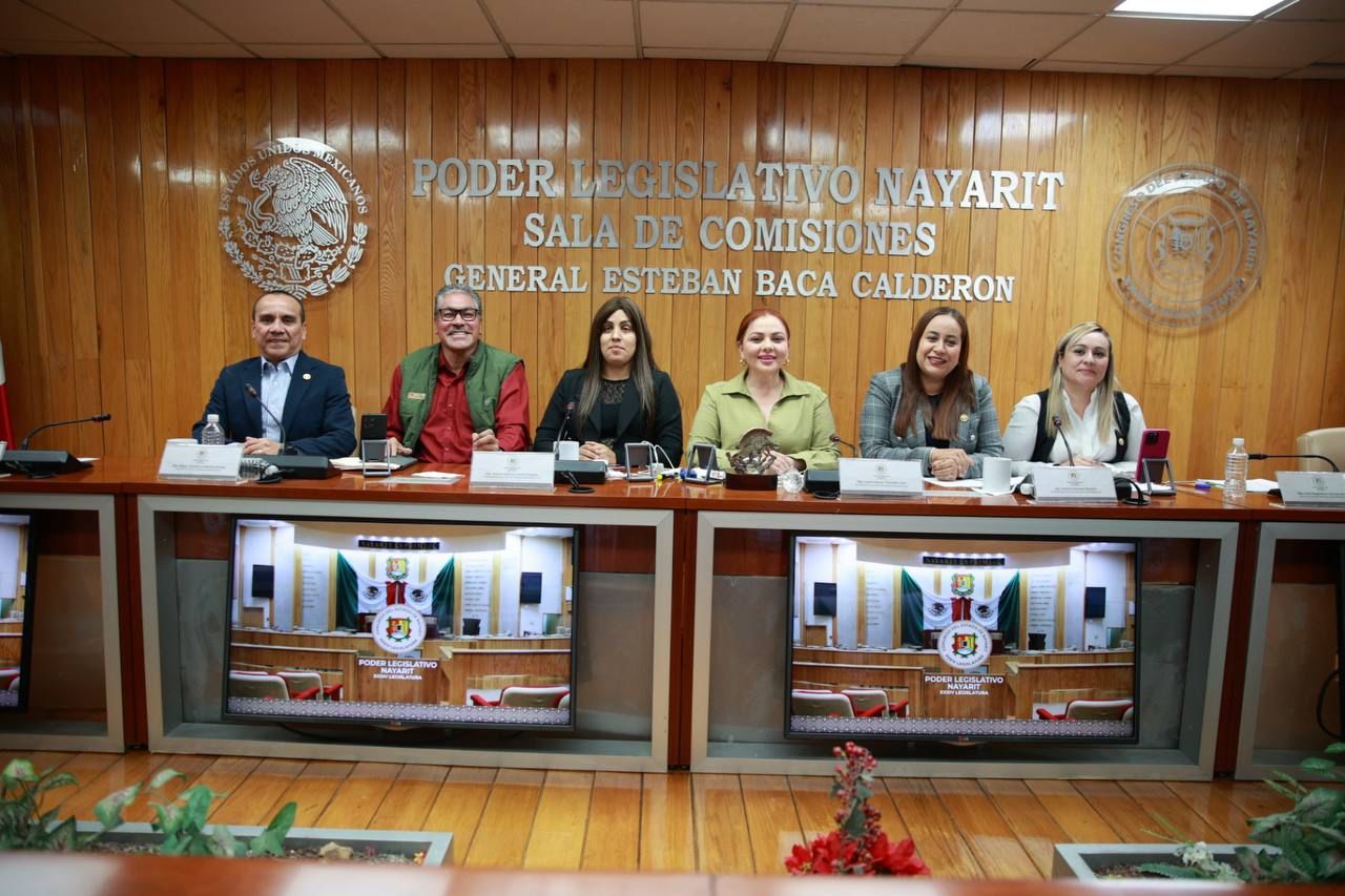 Aprueban las y los diputados planes de trabajo de las Comisiones Legislativas